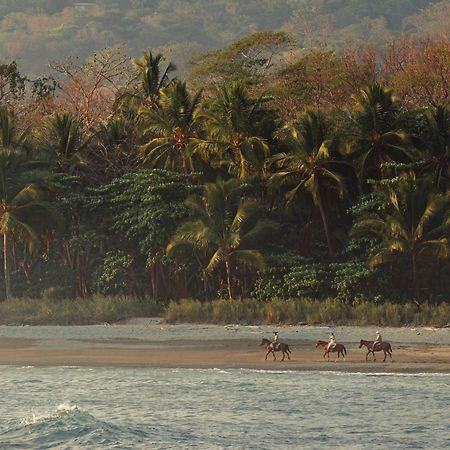 Hotel Santa Teresa By The Beach Playa Santa Teresa  Екстер'єр фото